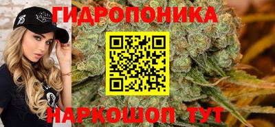 гашик Пугачёв