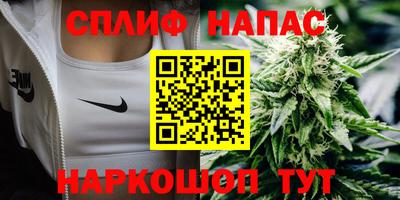 гашик Пугачёв