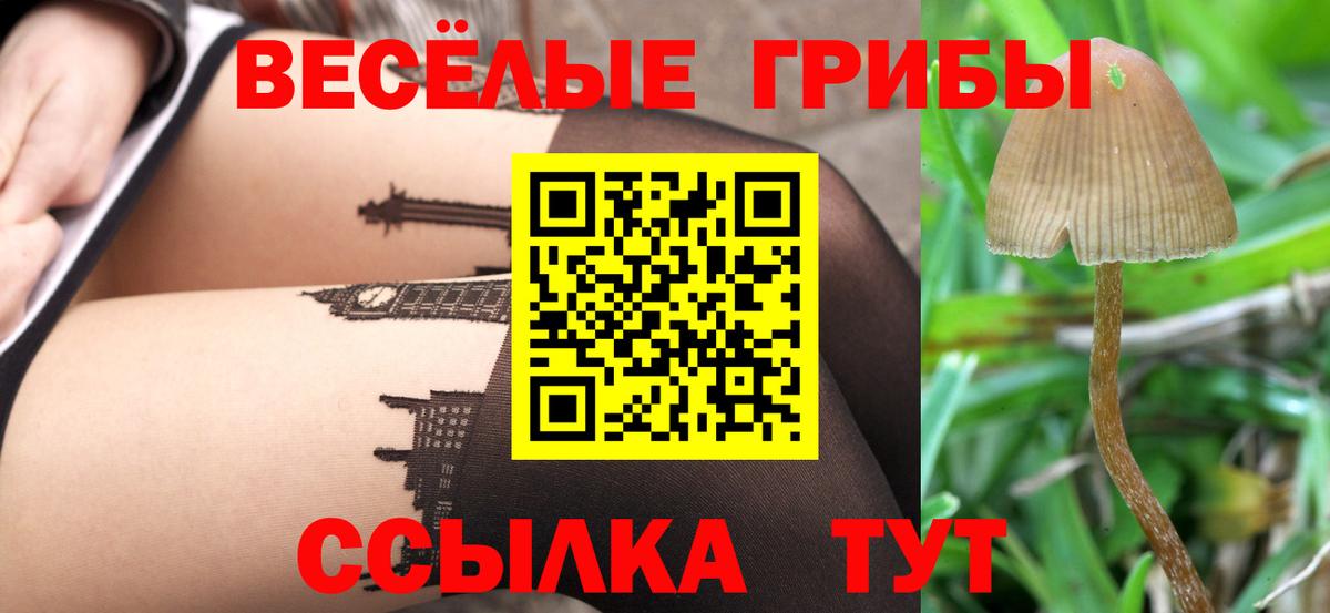 Галлюциногенные грибы ЛСД  Вход с VPN  Прохладный 